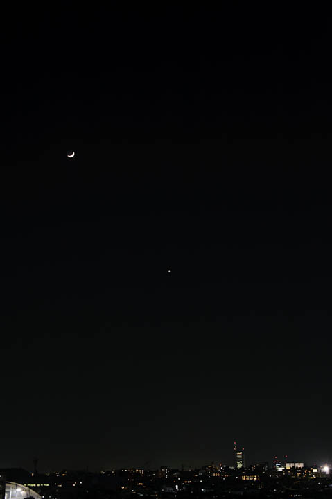 月夜の写真